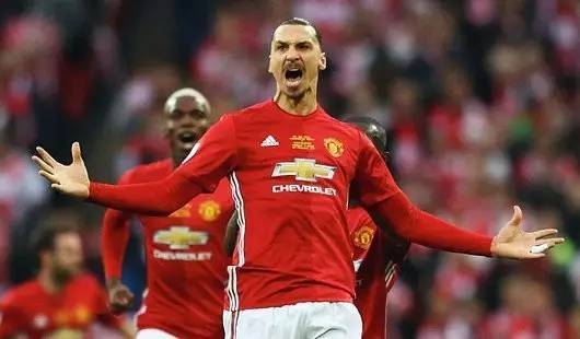 不仅彰显了 不仅彰显了