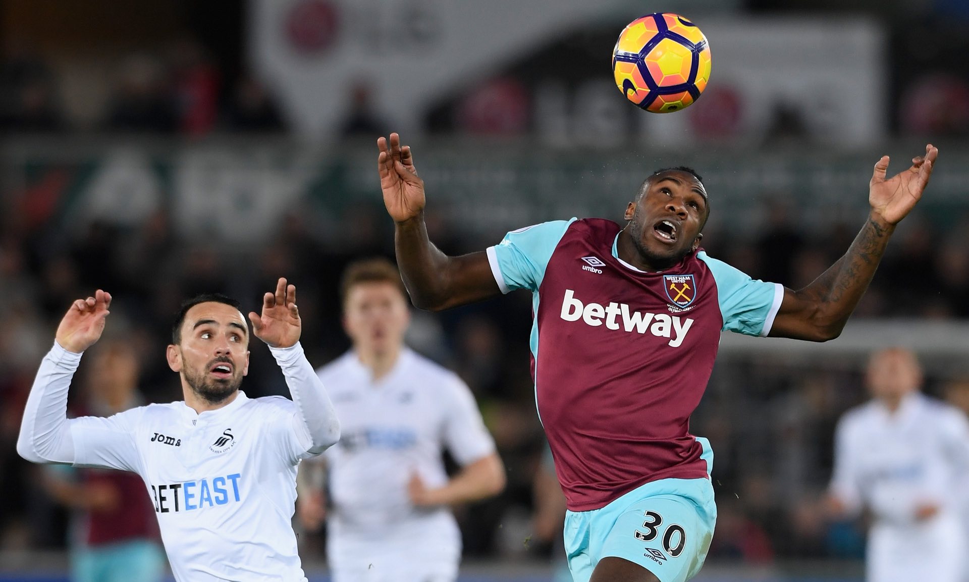 生涯的黃金 生涯的黃金